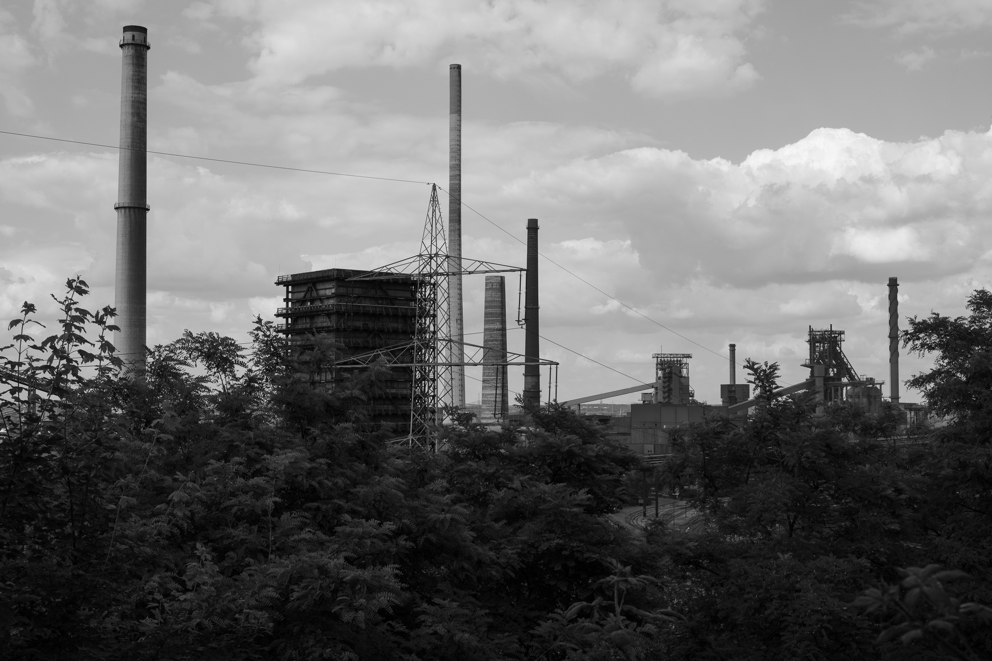 ThyssenKrupp Steel